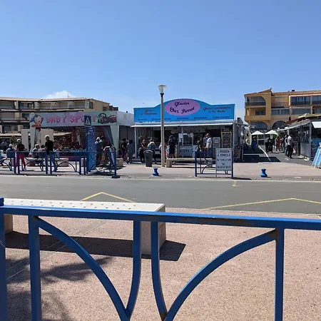 T2 Climatise, 2 Cours, Proche Plage, Parking Prive, 5 Pers., Animaux Acceptes - Fr-1-797-58 *