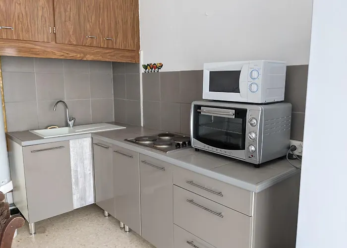 Villa T2 Climatise, 2 Cours, Proche Plage, Parking Prive, 5 Pers., Animaux Acceptes - Fr-1-797-58