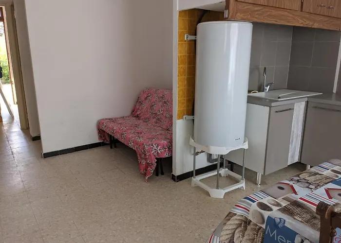 Villa T2 Climatise, 2 Cours, Proche Plage, Parking Prive, 5 Pers., Animaux Acceptes - Fr-1-797-58 *